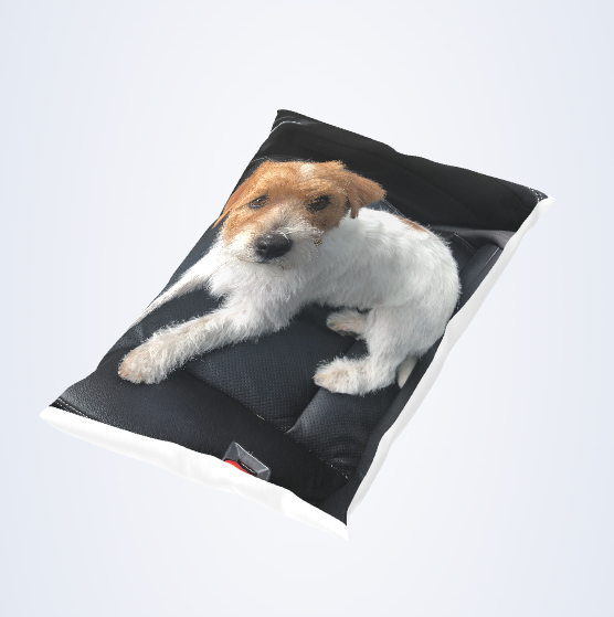 Fotopadi